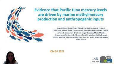 Evidence that Pacific tuna mercury levels are driven by marine methylmercury production and anthropogenic inputs
